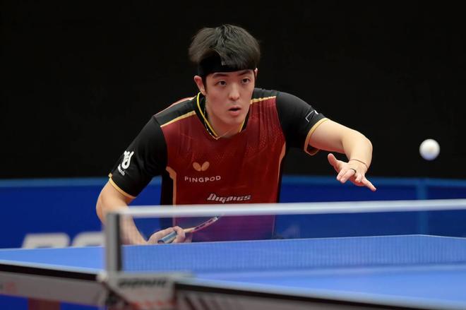 表现不仅为 表现不仅为